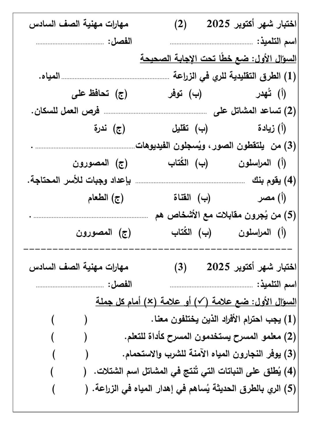 نماذج تقييم لشهر اكتوبر 2024 في المهارات المهنية للصفوف الرابع والخامس والسادس الابتدائي