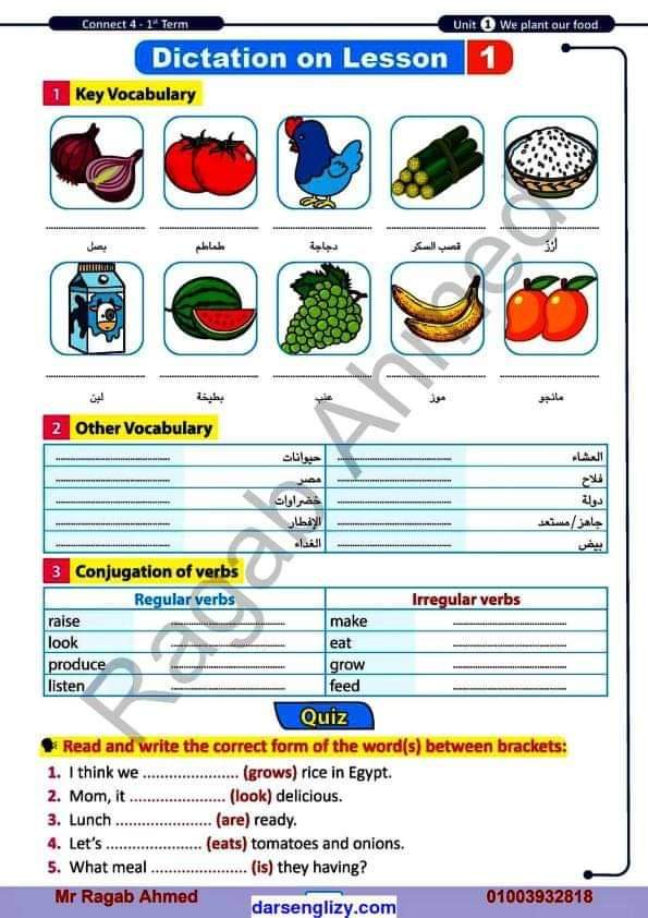 كراسة الاملاء والتسميع الافضل فى اللغة الانجليزية للصف الرابع الابتدائى الترم الاول 2025